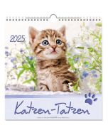 Katzen-Tatzen 2026