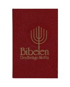 Bibel norwegisch