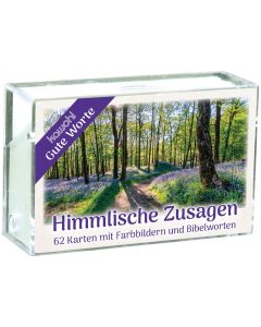 Himmlische Zusagen (Karten-Box)