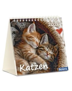 Katzen 2026