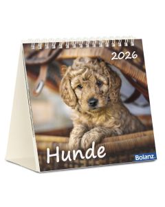Hunde 2026