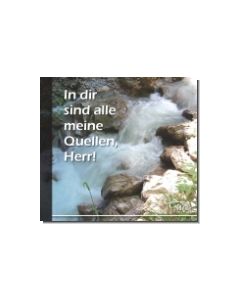 In dir sind alle meine Quellen, Herr