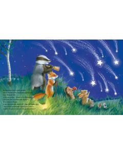 Der kleine Igel und die Sternschnuppen