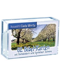 62 Bibel-Karten: Sprüche Salomos