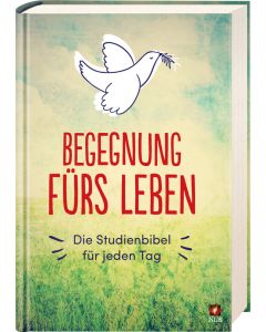 Begegnung fürs Leben, Motiv "Taube"