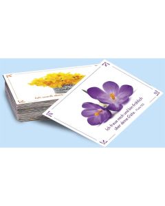 Neujahrslose 'Blumen' 100 Ex.