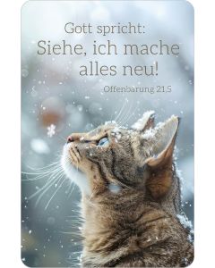 Spielkartenkalender 'Gott spricht: Siehe, ich mache alles ne