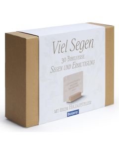 Viel Segen (Minikarten-Box)
