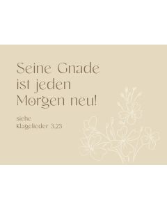 Postkarte Seine Gnade ist jeden Morgen neu! 12 Ex.
