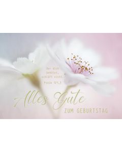 Postkarte Alles Gute zum Geburtstag (12 Ex.)
