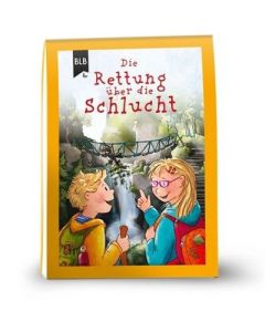 Kirsten Brünjes - Die Rettung über die Schlucht (BLB) - Flyer - Cover 3D