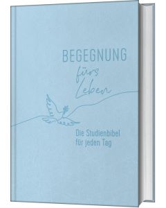 Begegnung fürs Leben, Kunstleder