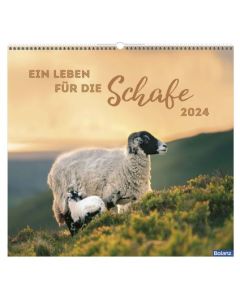 Ein Leben für die Schafe 2024 - Wandkalender