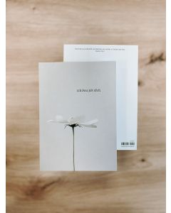 Postkarten 10 Stück- Ich bete für Dich - Motiv Blume