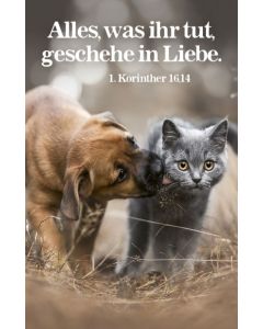 Jahreslosung 2024 - Kalenderkärtchen Hund und Katze