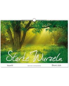 Starke Wurzeln 2024