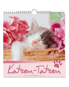 Katzen-Tatzen 2024