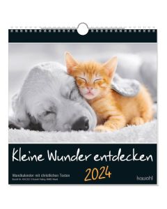Kleine Wunder entdecken 2024