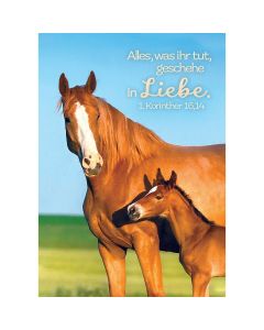 Jahreslosung 2024 - Postkarten, 12 Stück - Pferd