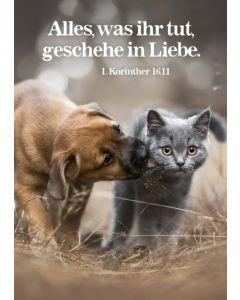 Jahreslosung 2024 - Postkarten "Hund&Katze" 12 Stück