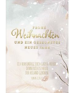 Postkartenserie "Frohe Weihnachten"/Ich verkündige euch große Freude 10 Stk.