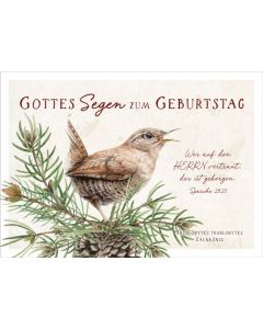 Postkartenserie "Zaunkönig - Geburtstag" 12 Stk.