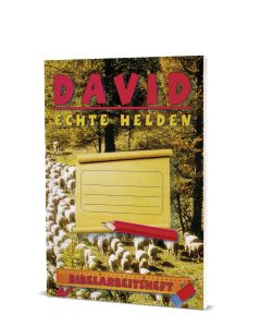 David - echte Helden, Ralf Kausemann (Hrsg.) | CB-Buchshop | 272951000