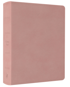 NeÜ LIEBEZURBIBEL (Schreibrandbibel rosa) - mit Prägung - 275061p | cb-buchshop.de