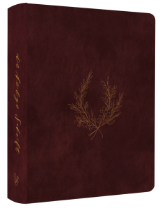 NeÜ LIEBEZURBIBEL (Schreibrandbibel wine) - mit Prägung - 275064p | cb-buchshop.de