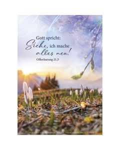 Poster Jahreslosung A3 Gott spricht: Siehe, ich mache alles neu!