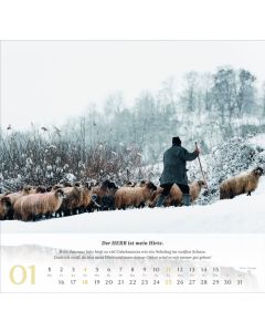 Psalm 23 - Wandkalender 2026