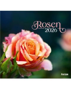 Rosen - Wandkalender 2026