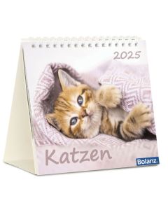 Katzen 2026