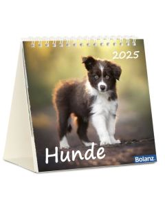 Hunde 2026