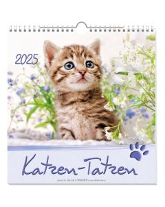 Katzen-Tatzen 2026