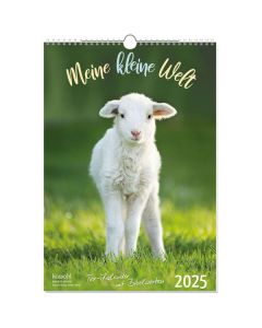 Meine kleine Welt 2026