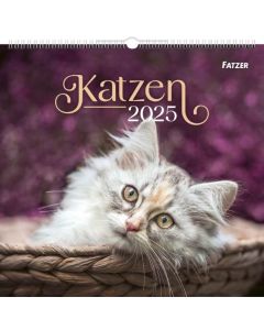 Katzen - Wandkalender 2026