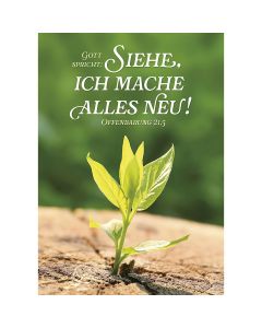 Postkarten 4 Karten im Set