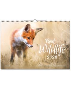 Real Wildlife 2026 - Wandkalender