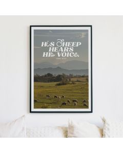 7170063 Poster - His sheep hears his voice | CB Buchshop