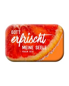 7170128 Magnet - Gott erfrischt meine Seele | CB Buchshop