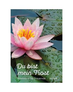 485539 - Du bist mein Trost | CB Buchshop