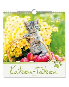 Katzen-Tatzen 2026