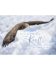 Postkarte Die auf den Herrn harren 12 Ex.