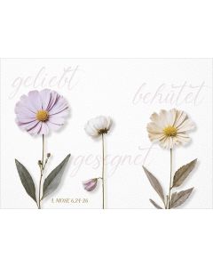 Postkarte geliebt behütet gesegnet 12 Ex.