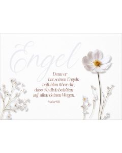 Postkarte Engel - Denn er hat seinen Engeln 12 Ex.