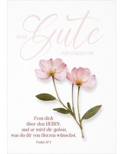 Postkarte Alles Gute zum Geburtstag 12 Ex.