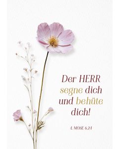 Postkarte Der Herr segne dich und behüte dich! 12 Ex.