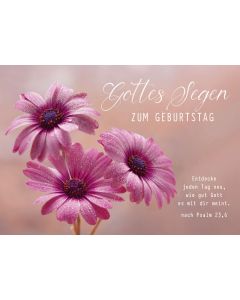 Postkarte Gottes Segen zum Geburtstag 12 Ex.