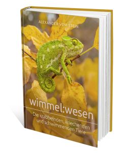 304717 - wimmel:wesen | cb-buchhsop.de
